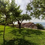 Tomislav * Split