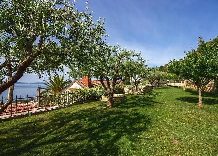 Tomislav ヴィラ *